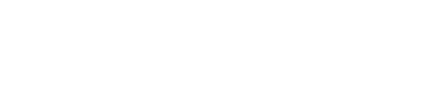 h1 title