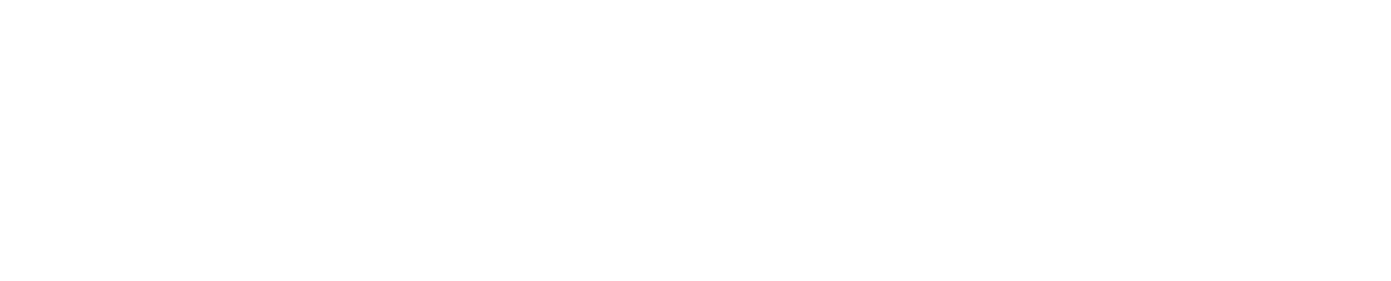 h1 title